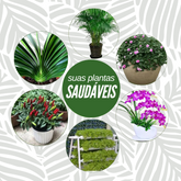 Bastonetes Cresça-Mais para o seu Jardim