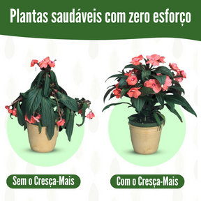 Bastonetes Cresça-Mais para o seu Jardim