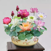 🌸 Mudas da Flor de Lótus Bonsai 💐+ [BRINDE ESPECIAL]
